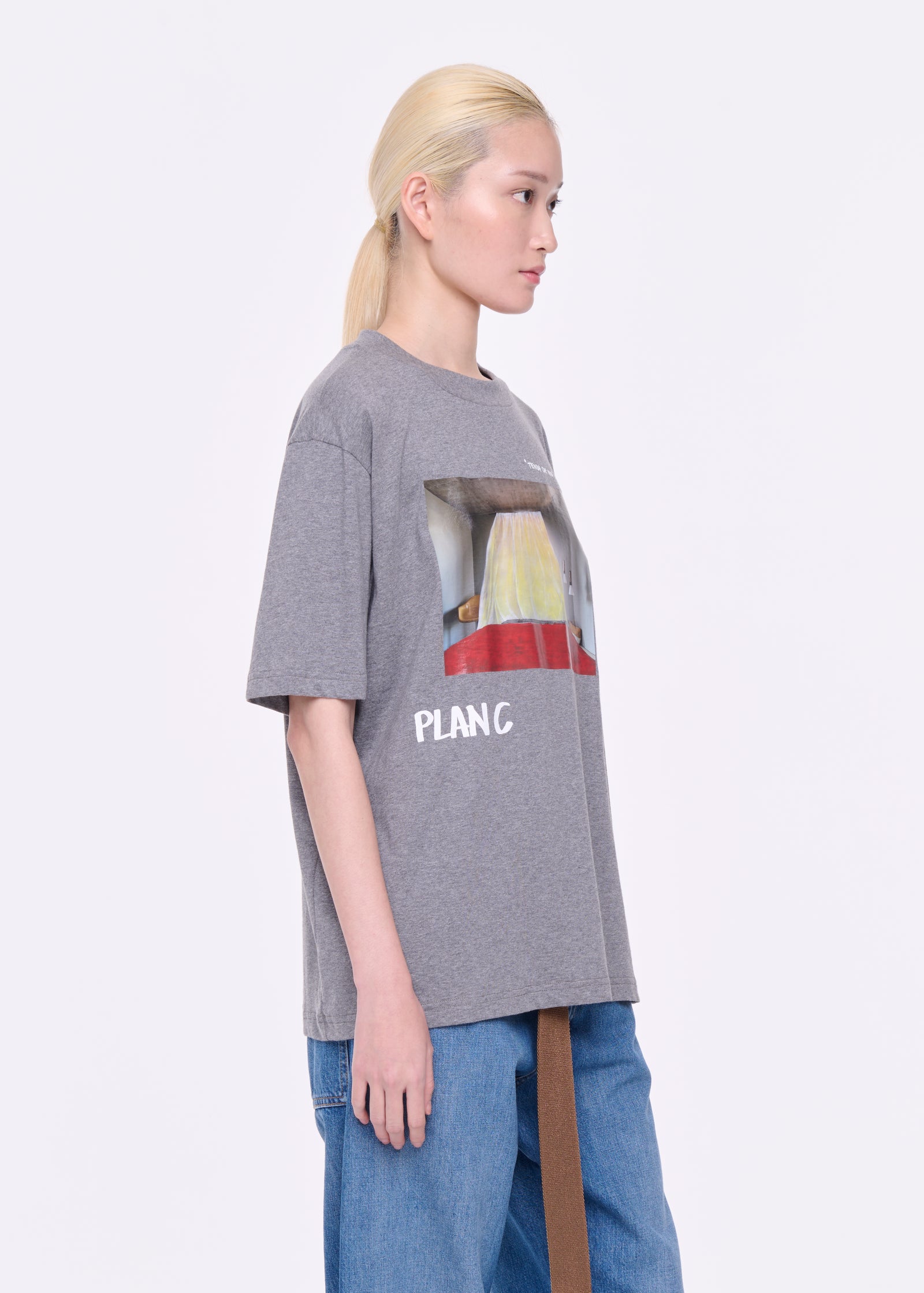 GREY "TENDA CHE VOLA" PRINT T-SHIRT